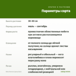 Мята Ментол (срезы/5шт) — параметры сорта