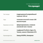 Мята Миллениум Клариссы (0,1л) — что приедет