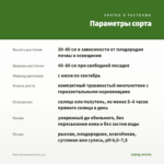 Мята Мультимента (0,1л) — параметры сорта