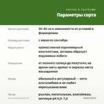 Мята Мультимента (0,1л) — параметры сорта