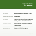 Мята Мультимента (срез/5шт) — что приедет
