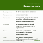 Мята О-де-Колон (Eau de Cologne) 0,1л. — параметры сорта