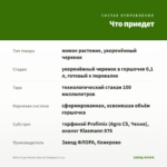 Мята О-де-Колон (Eau de Cologne) 0,1л. — что приедет