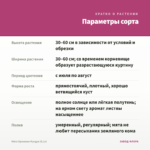 Мята Ореховая Фундук (0,1л) — параметры сорта