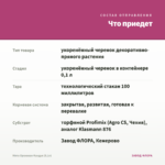 Мята Ореховая Фундук (0,1л) — что приедет