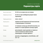 Мята Ореховая Фундук (0,1л) — параметры сорта