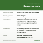 Мята Ореховая Фундук (срезы/5шт) — параметры сорта