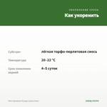 Мята Ореховая Фундук (срезы/5шт) — как укоренить черенок