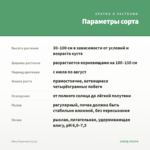 Мята Перечная (0,1л) — параметры сорта