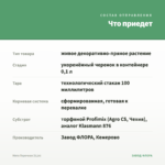 Мята Перечная (0,1л) — что приедет