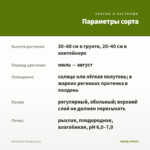Мята Пина Колада (0,1л) — параметры сорта