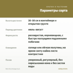 Мята Пина Колада (0,1л) — параметры сорта