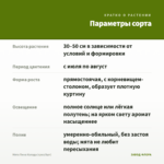 Мята Пина Колада (срез/5шт) — параметры сорта