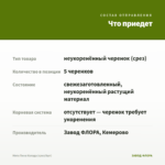 Мята Пина Колада (срез/5шт) — что приедет