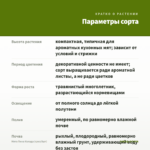 Мята Пина Колада (срез/5шт) — параметры сорта