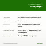 Мята полковника Кентукки (срез/5шт) — что приедет