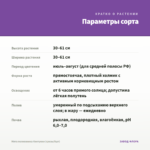 Мята полковника Кентукки (срезы/5шт) — параметры сорта