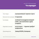 Мята полковника Кентукки (срезы/5шт) — что приедет
