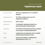 Мята После восьми (0,1л) — параметры сорта