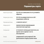 Мята Посульская линалоольная (0,1л) — параметры сорта