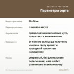 Мята Посульская линалоольная (срезы/5шт) — параметры сорта
