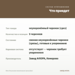 Мята Посульская линалоольная (срезы/5шт) — что приедет
