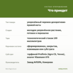 Мята Радуга (0,1л) — что приедет