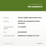 Мята Радуга (срезы/5шт) — как укоренить черенок