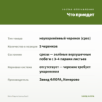 Мята Радуга (срезы/5шт) — что приедет
