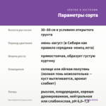 Мята Шарлотка (срезы/5шт) — параметры сорта