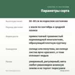 Мята Шоколадная (0,1л) — параметры сорта