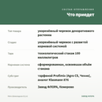 Мята Шоколадная (0,1л) — что приедет