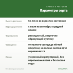 Мята Шоколадная (срезы/5шт) — параметры сорта