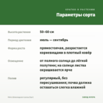 Мята Шоколадная (срезы/5шт) — параметры сорта