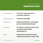 Мята Шоколадный Минт (0,1л) — параметры сорта