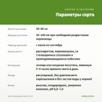 Мята Шоколадный Минт (0,1л) — параметры сорта