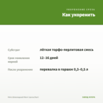 Мята Шоколадный Минт (срезы/5шт) — как укоренить черенок