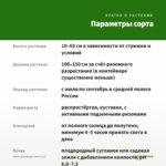 Мята Швейцарская (0,1л) — параметры сорта