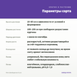 Мята Швейцарская (0,1л) — параметры сорта