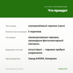 Мята Швейцарская (срез/5шт) — что приедет