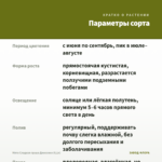 Мята Сладкая груша Джессики (0,1л) — параметры сорта