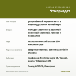 Мята Сладкая груша Джессики (0,1л) — что приедет