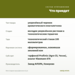 Мята Сладкая груша Джессики (0,1л) — что приедет