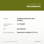 Мята Сладкая груша Джессики (срез/5шт) — как укоренить черенок