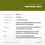 Мята Сладкая груша Джессики (срезы/5шт) — параметры сорта