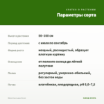 Мята Смитьяна (0,1л) — параметры сорта