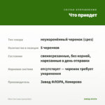 Мята Смитьяна (срезы/5шт) — что приедет