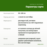 Мята Смитьяна (срезы/5шт) — параметры сорта