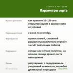 Мята Spirmint (0,1л) — параметры сорта