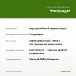 Мята Spirmint (срезы/5шт) — что приедет